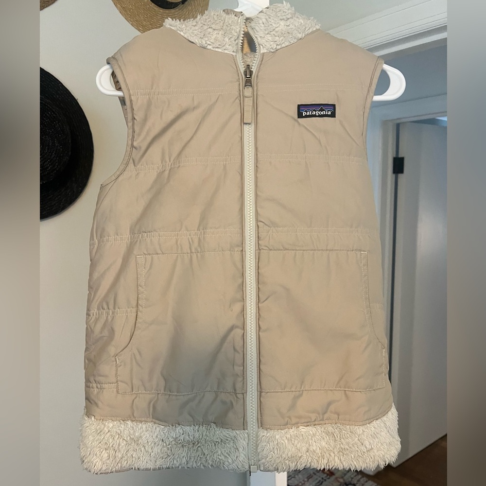 Patagonia Reversible Hooded Vest